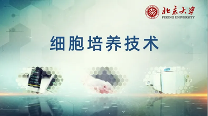 c3fd29a0710b4156a9a080ef2f326df5.png c3fd29a0710b4156a9a080ef2f326df5.png